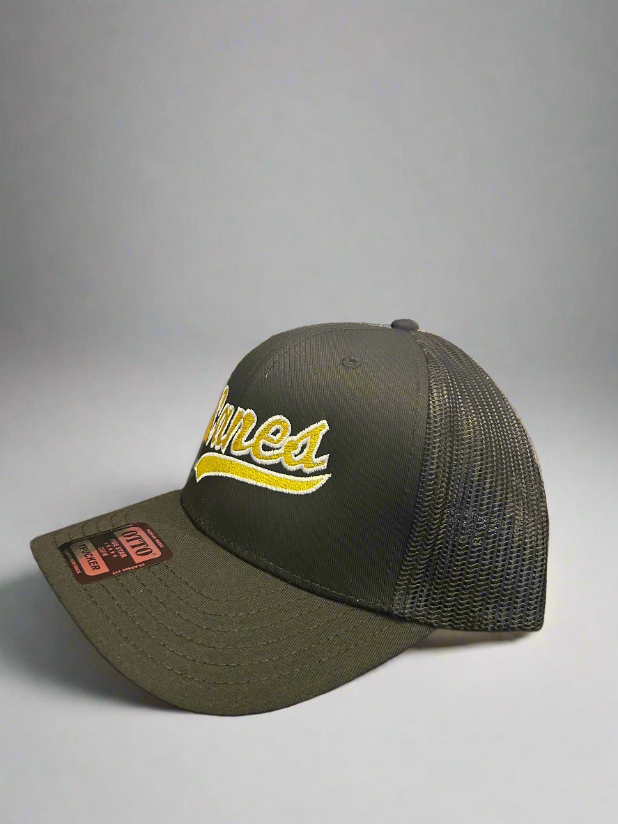 Canes Swoop Trucker Hat