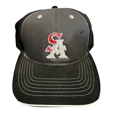 SWAT Grey strap hat