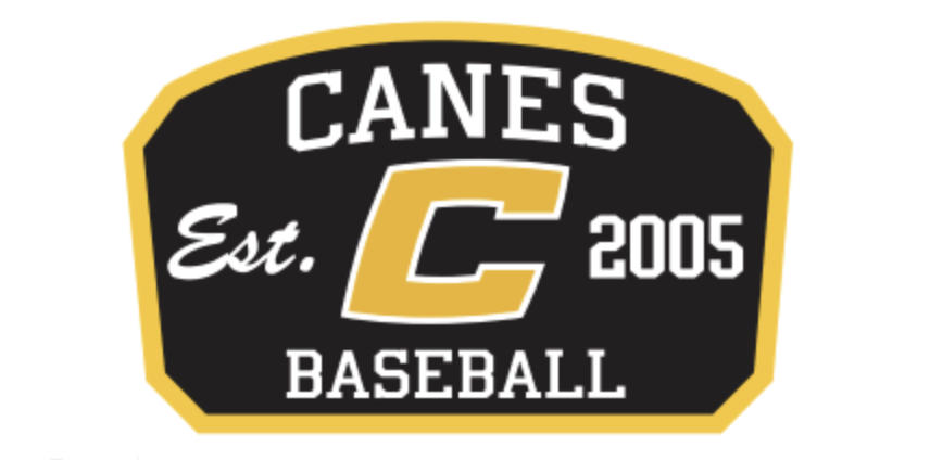 UA Canes Grey Snapback Hat