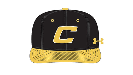 UA Canes Black Player Hat