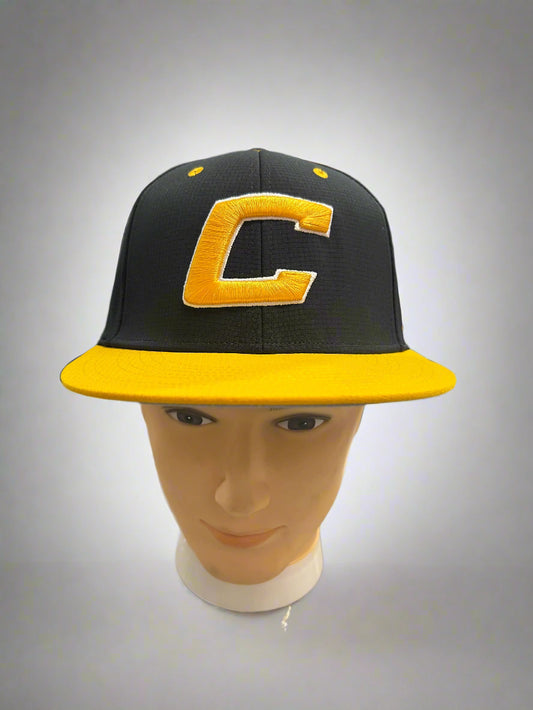 UA Canes Black Player Hat