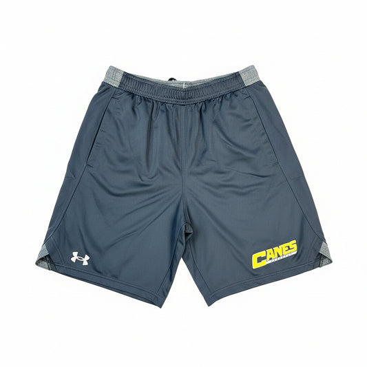 UA Men's Canes Baseball Shorts