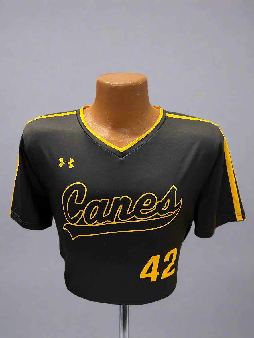 UA Canes Swoop Outline Jersey - Black