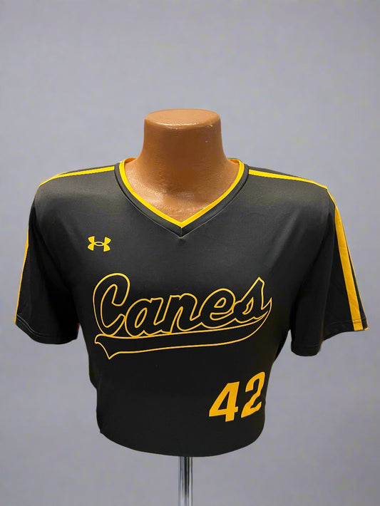 UA Canes Swoop Outline Jersey - Black