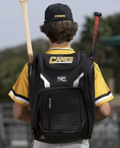 Canes Rawlings Bat Bag