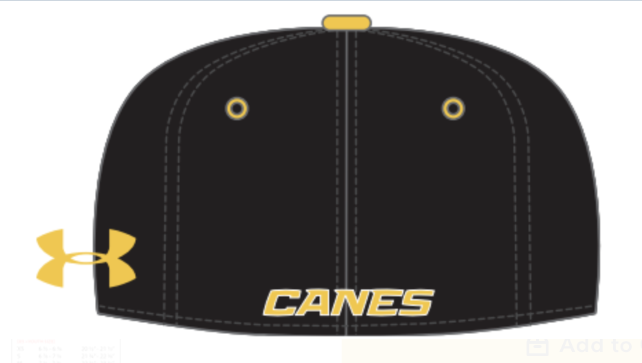 UA Canes Tricolor Player Hat