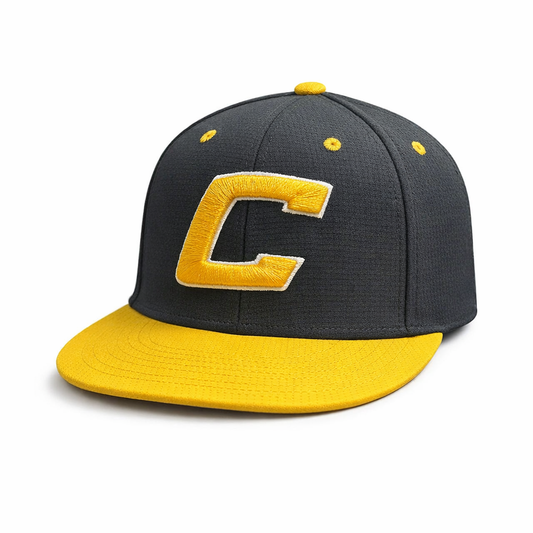 UA Canes Black Player Hat