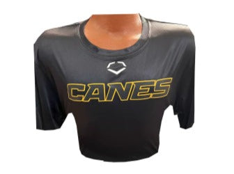 Evo Shield Canes - Black/Gold Lettering